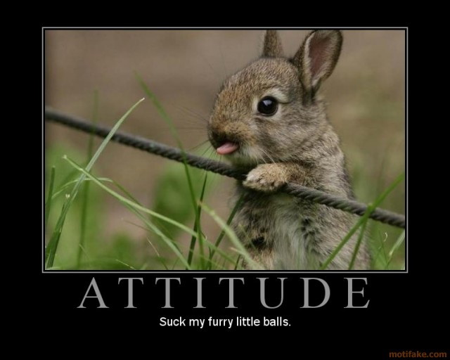 52260-attitude.jpg