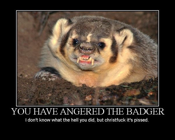 52260-badger.jpg