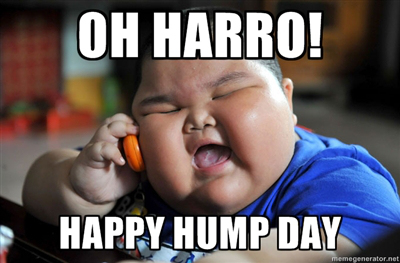 happy-hump-day-harro.jpg