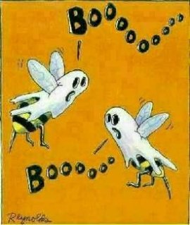 boobeez.jpg