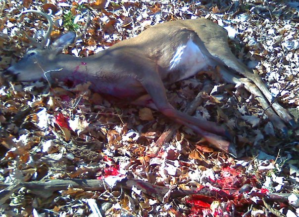 11-14-2009 13pt buck2.jpg