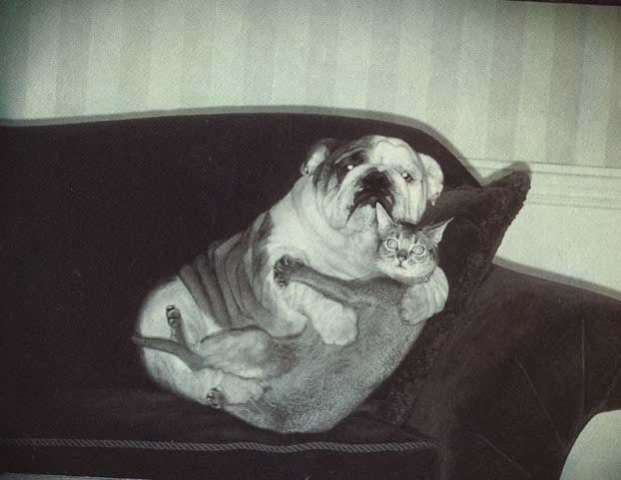 couch.jpg
